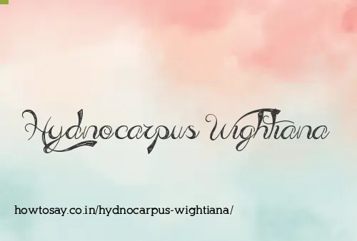 Hydnocarpus Wightiana