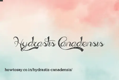Hydrastis Canadensis