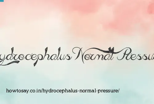 Hydrocephalus Normal Pressure