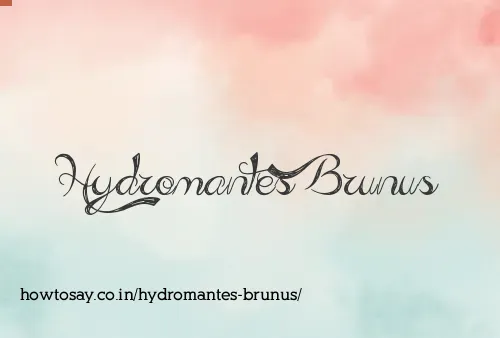 Hydromantes Brunus