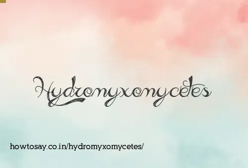 Hydromyxomycetes