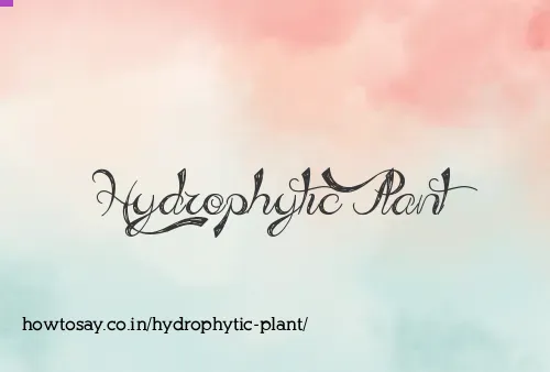 Hydrophytic Plant