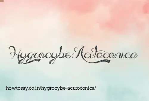 Hygrocybe Acutoconica