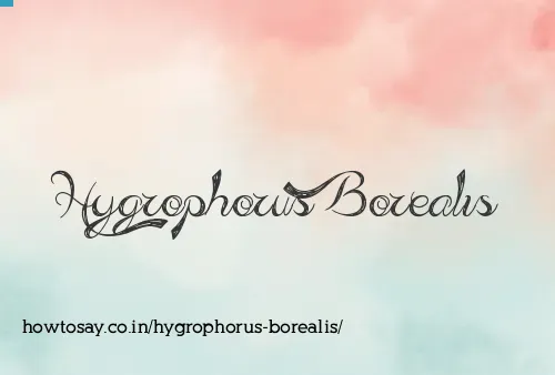 Hygrophorus Borealis