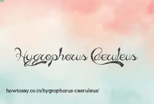 Hygrophorus Caeruleus