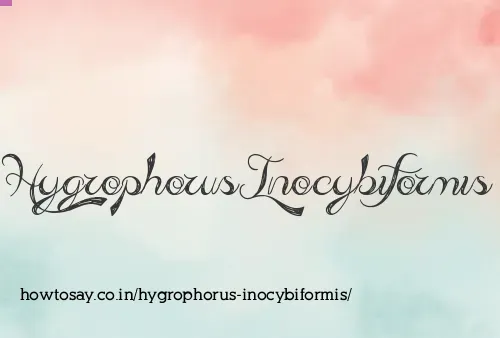 Hygrophorus Inocybiformis