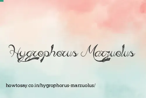 Hygrophorus Marzuolus
