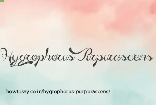 Hygrophorus Purpurascens