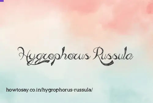 Hygrophorus Russula