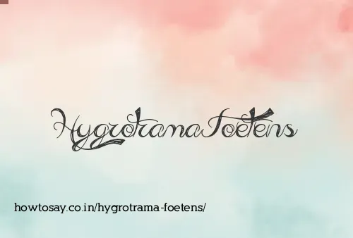 Hygrotrama Foetens