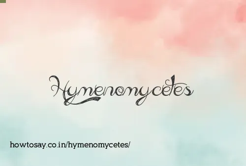 Hymenomycetes
