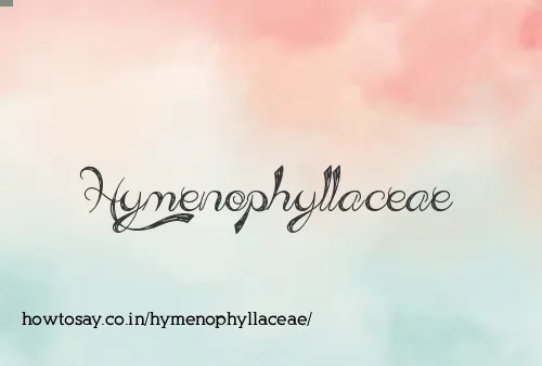 Hymenophyllaceae