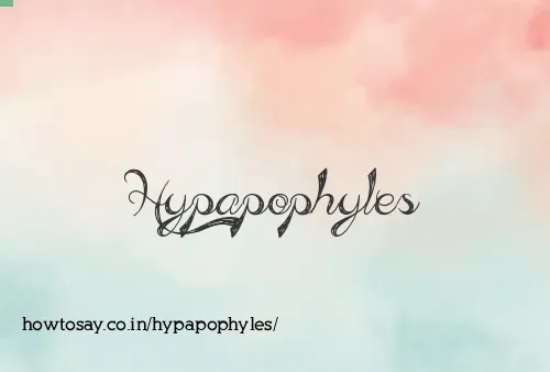 Hypapophyles