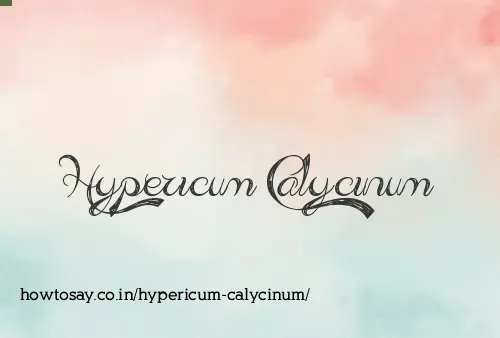 Hypericum Calycinum