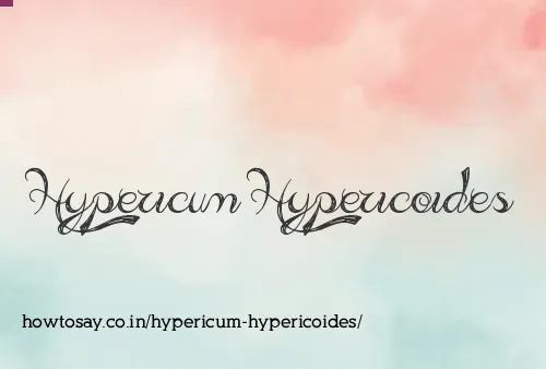 Hypericum Hypericoides