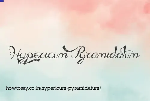 Hypericum Pyramidatum