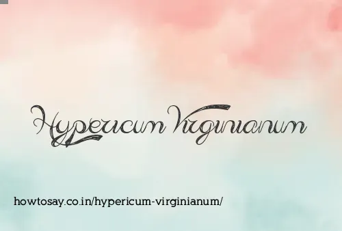 Hypericum Virginianum