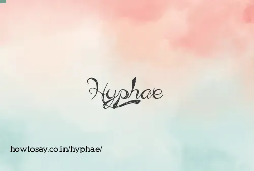 Hyphae
