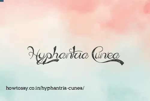 Hyphantria Cunea