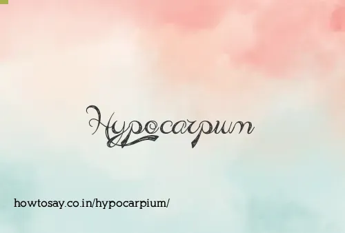 Hypocarpium