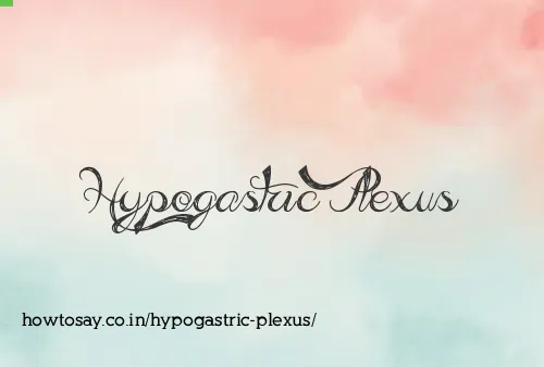Hypogastric Plexus