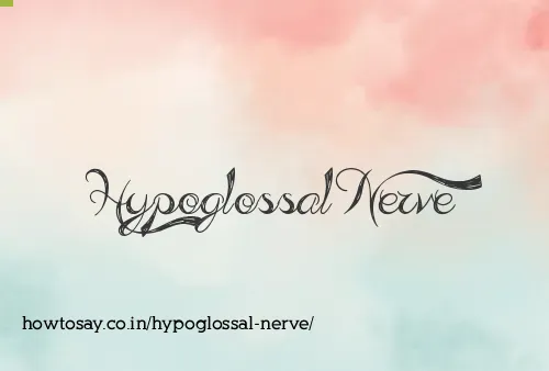 Hypoglossal Nerve