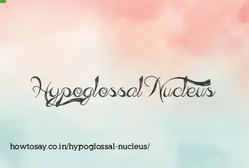 Hypoglossal Nucleus