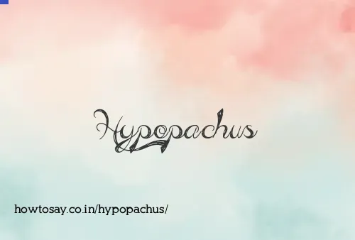 Hypopachus