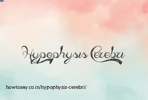 Hypophysis Cerebri