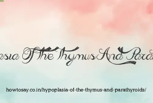 Hypoplasia Of The Thymus And Parathyroids
