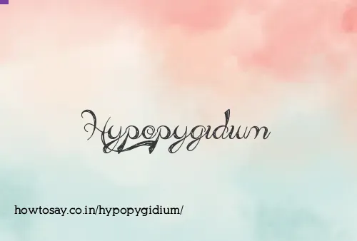 Hypopygidium