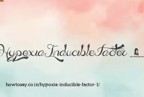 Hypoxia Inducible Factor 1