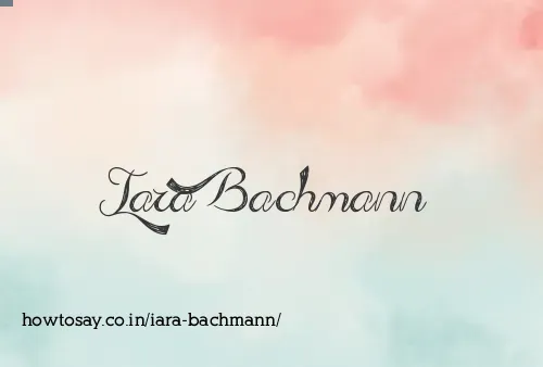 Iara Bachmann