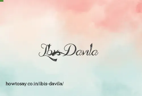 Ibis Davila