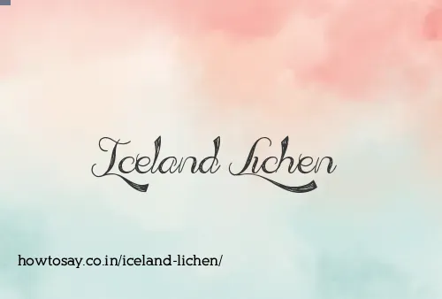 Iceland Lichen
