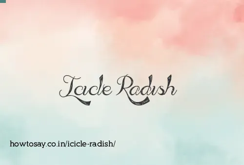 Icicle Radish