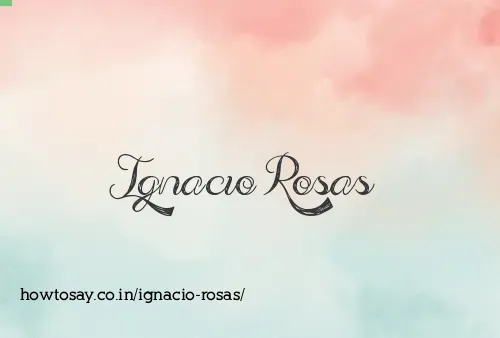 Ignacio Rosas