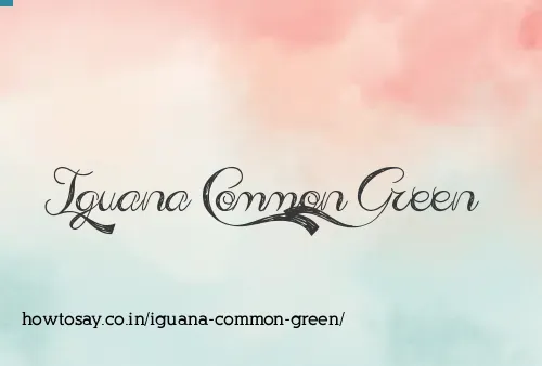 Iguana Common Green
