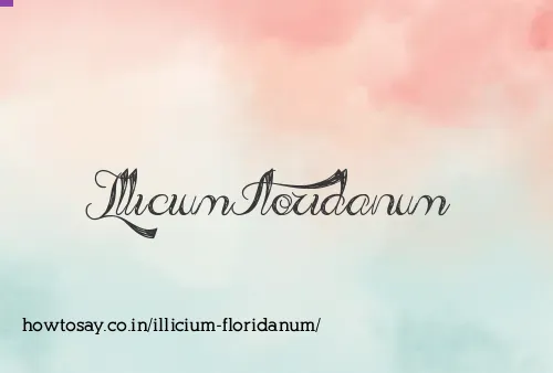 Illicium Floridanum