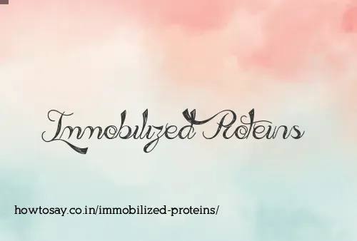Immobilized Proteins
