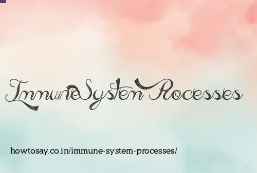 Immune System Processes