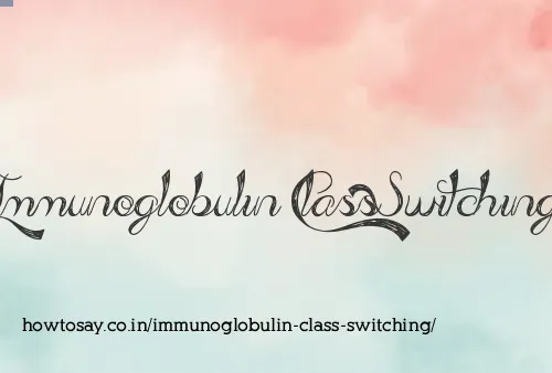 Immunoglobulin Class Switching