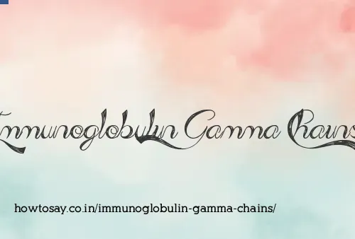 Immunoglobulin Gamma Chains