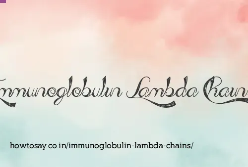 Immunoglobulin Lambda Chains