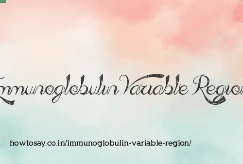 Immunoglobulin Variable Region