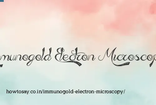 Immunogold Electron Microscopy