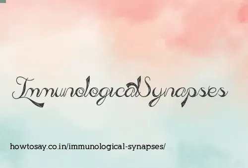 Immunological Synapses