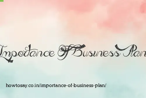 Importance Of Business Plan