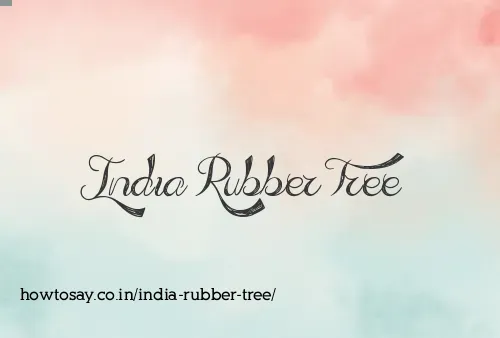 India Rubber Tree