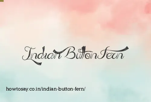 Indian Button Fern